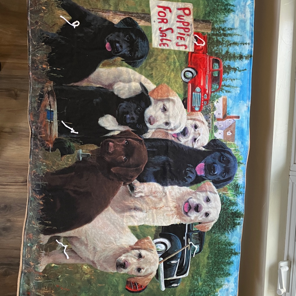 Puppies For Sale Labrador Retrievers Small Blanket Brand New